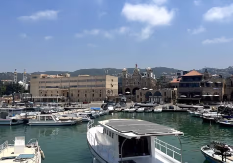 Boats gathered in a coastal marina